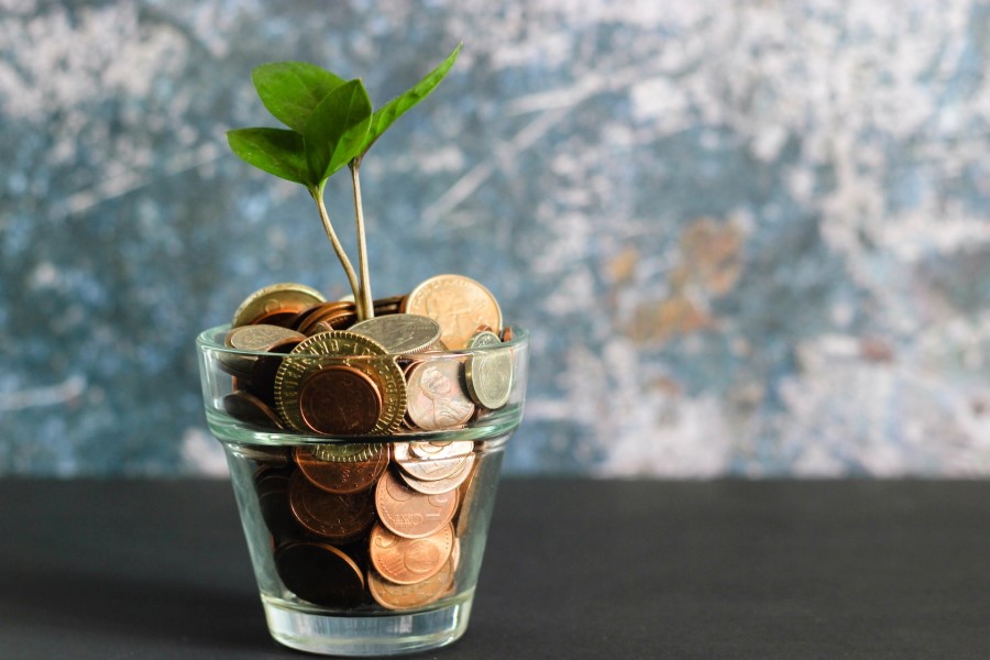 A young plant sprouts out of a planting pot filled with various coins.