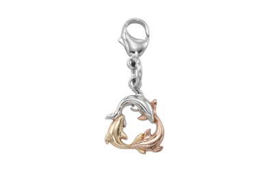 charm-2